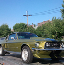 Arrow-Express-Transport-image02.jpg