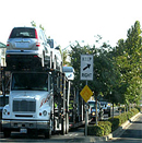 Honey-Bee-Auto-Transport-image01.jpg