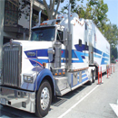 Honey-Bee-Auto-Transport-image02.jpg