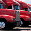 Nitro-Auto-Transport-Inc-image01.jpg