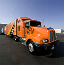 bergerallied-image3.jpg