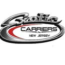 Exotic-Carriers