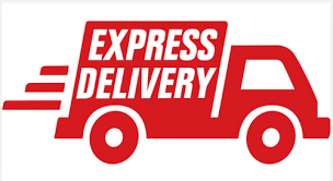 Express-Delivery-Inc