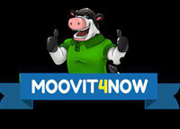 moovit4now
